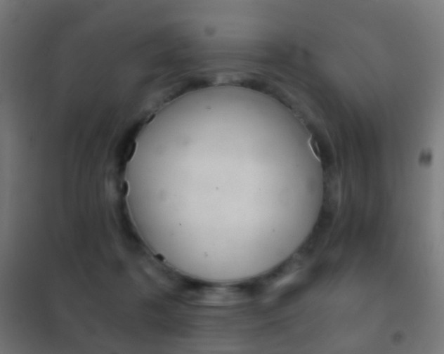 X0000102240316200807250844