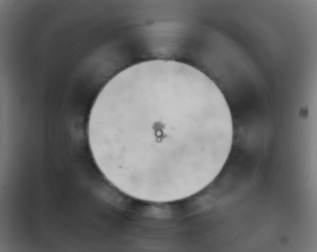 X0000102240317200807250844
