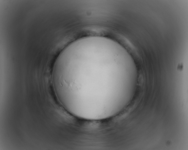 X0000102240318200807250844