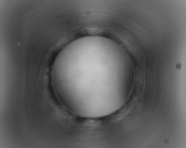 X0000102240319200807250844