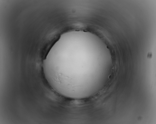 X0000102240320200807250844