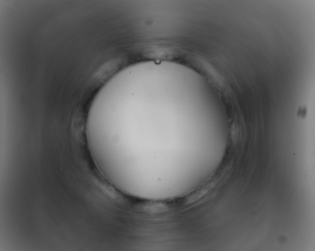 X0000102240322200807250844