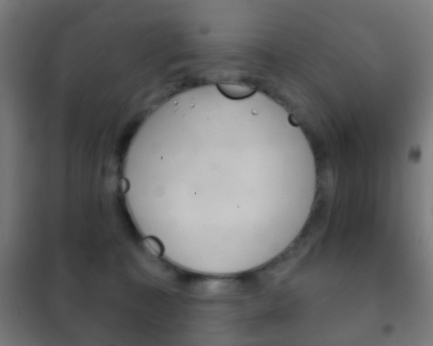 X0000102240323200807250844