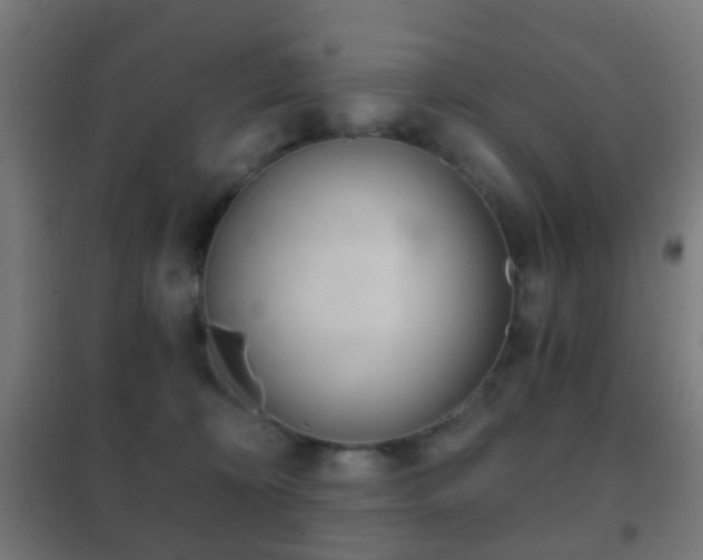 X0000102240324200807250844