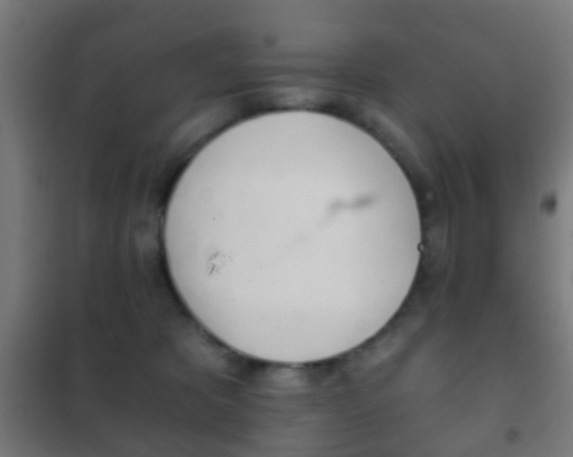 X0000102240325200807250844