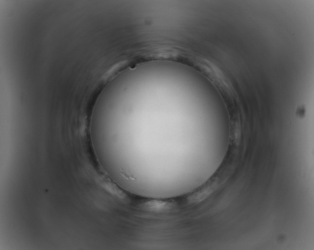 X0000102240326200807250844