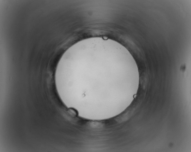 X0000102240327200807250844