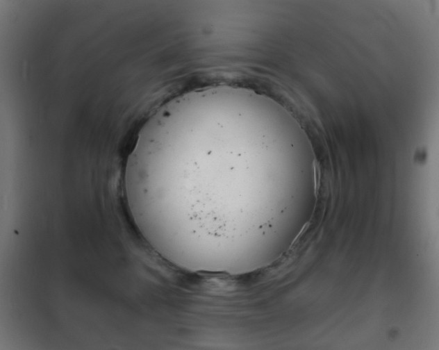 X0000102240328200807250844