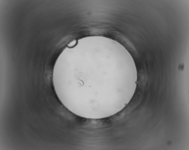 X0000102240329200807250844