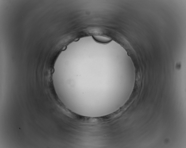 X0000102240330200807250844