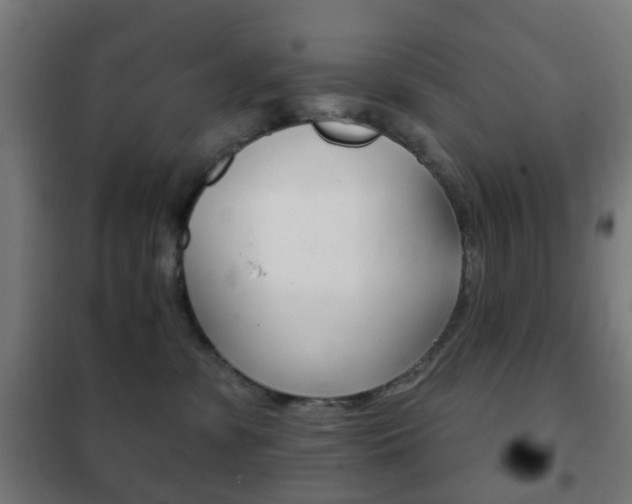 X0000102240331200807250844