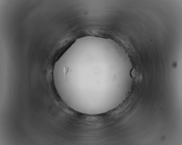 X0000102240332200807250844