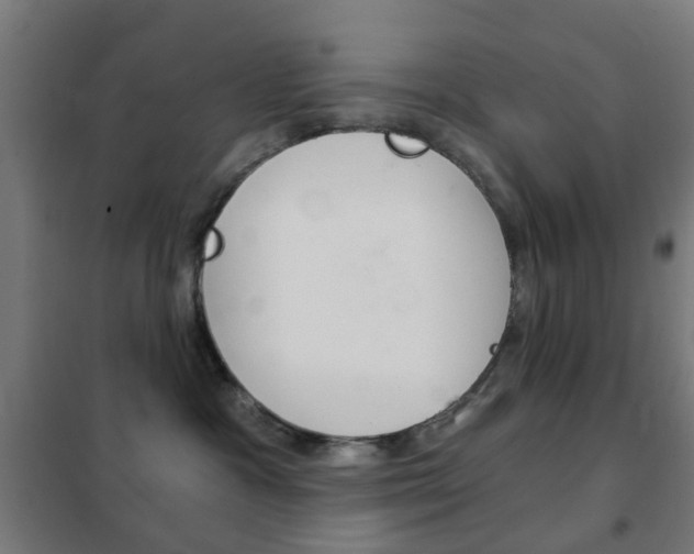 X0000102240333200807250844