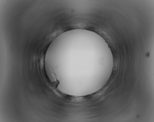 X0000102240334200807250844