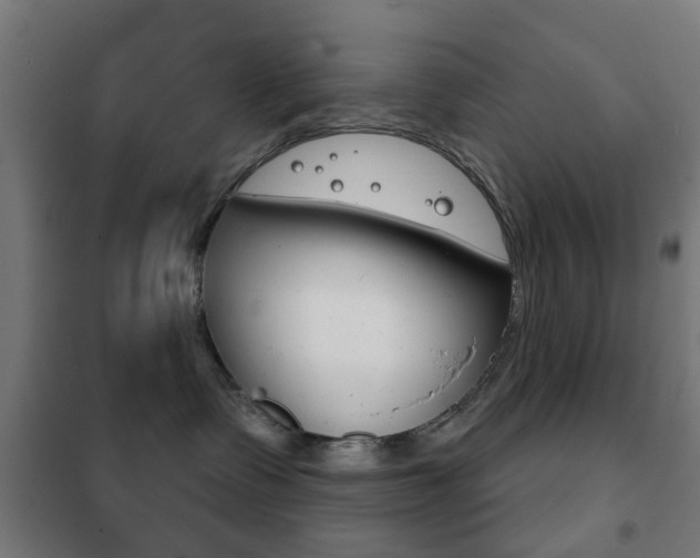 X0000102240335200807250844