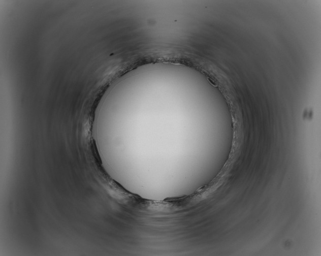 X0000102240336200807250844
