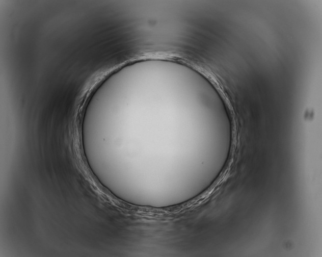 X0000102240337200807250843