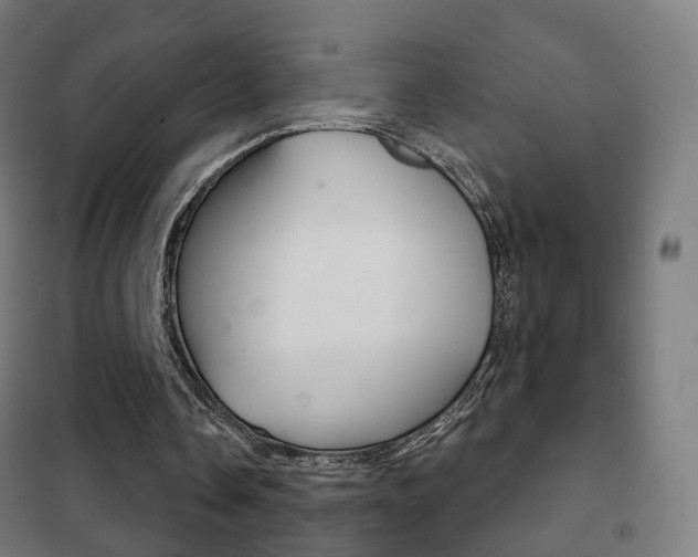 X0000102240338200807250843