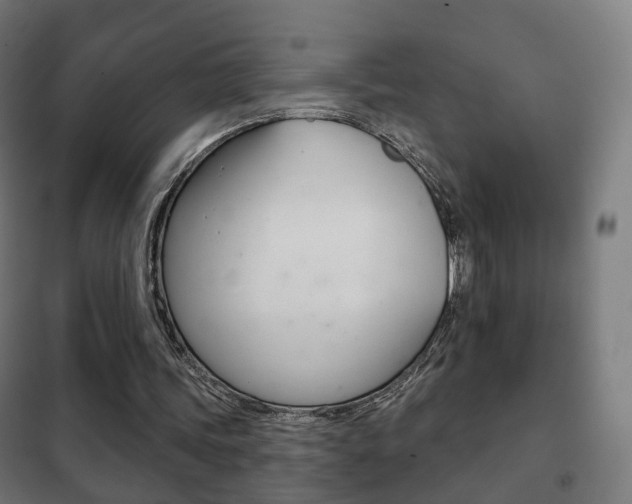 X0000102240339200807250843