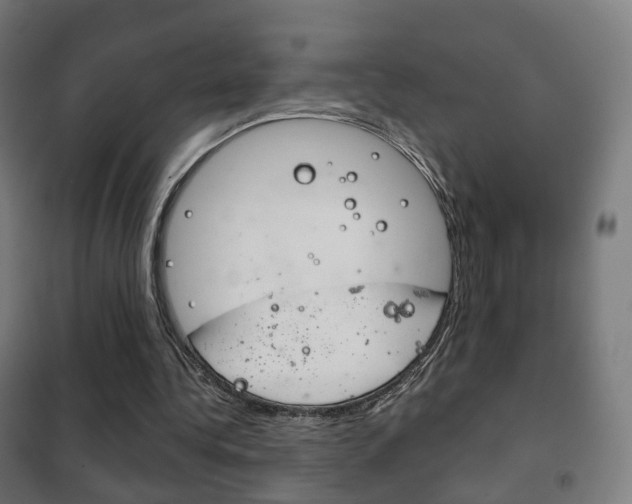 X0000102240340200807250843