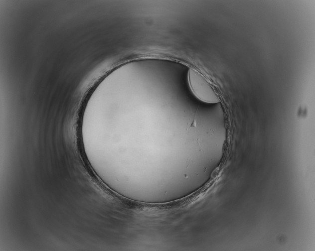 X0000102240341200807250843