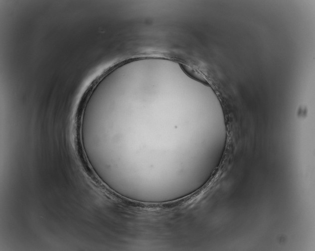 X0000102240342200807250843