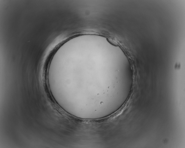 X0000102240343200807250843