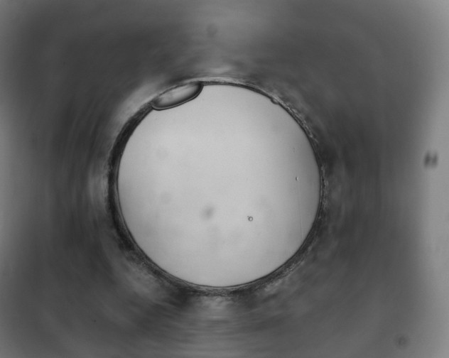 X0000102240344200807250843