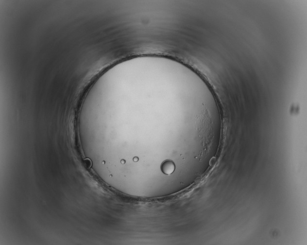 X0000102240345200807250843