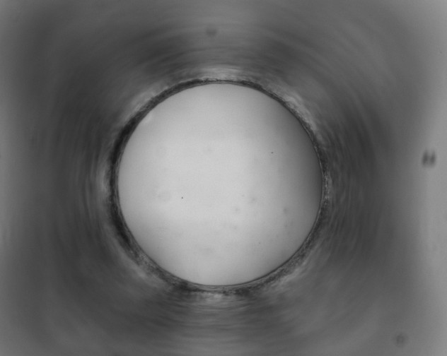 X0000102240347200807250843