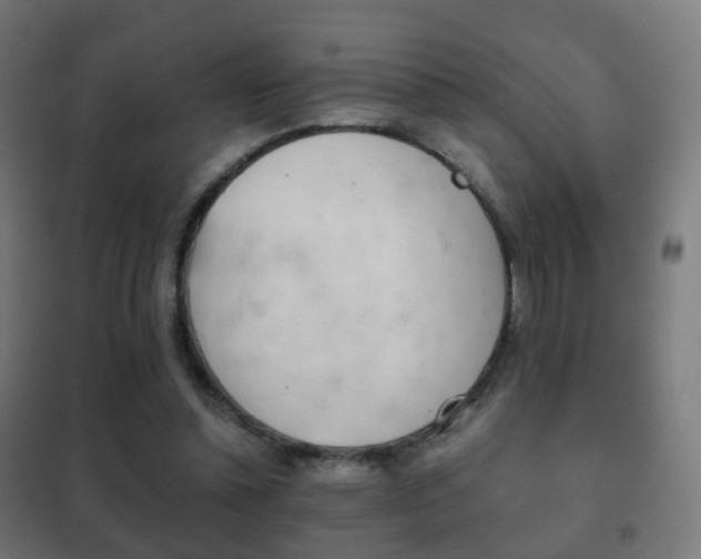 X0000102240348200807250843