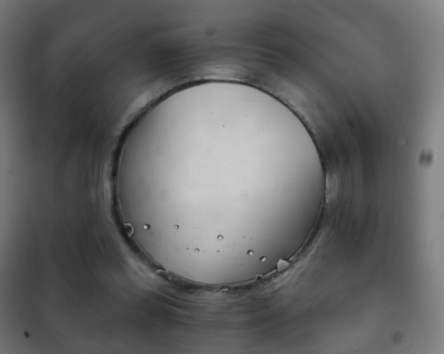 X0000102240349200807250843