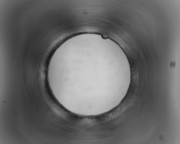 X0000102240350200807250843