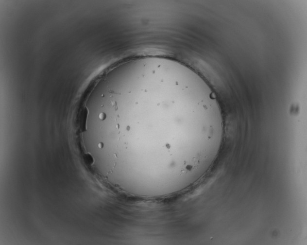 X0000102240351200807250843