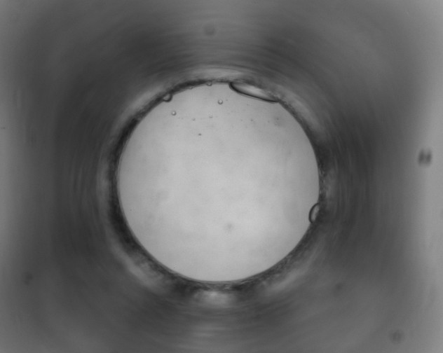 X0000102240352200807250843