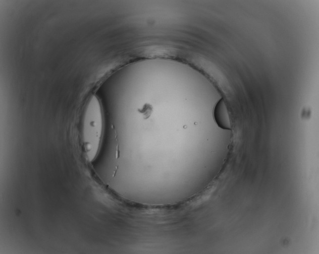 X0000102240353200807250843