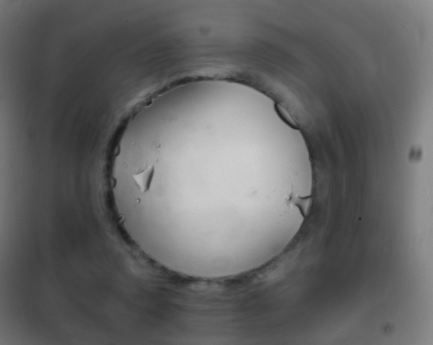 X0000102240354200807250843