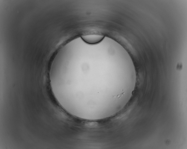 X0000102240355200807250843