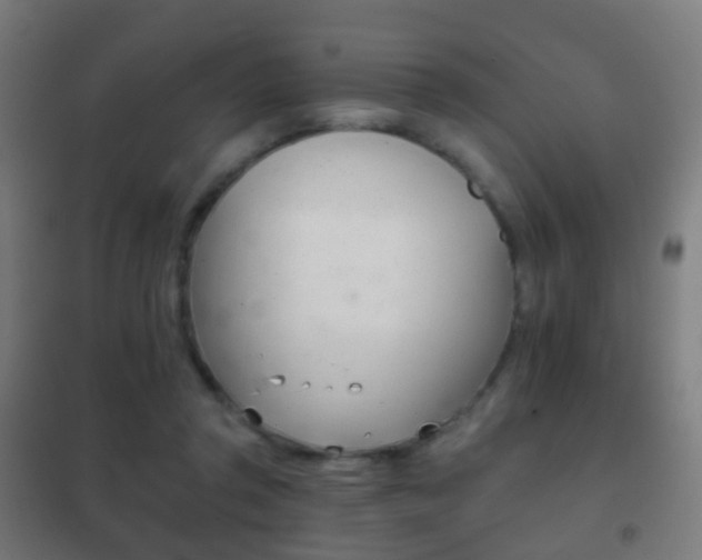 X0000102240357200807250843