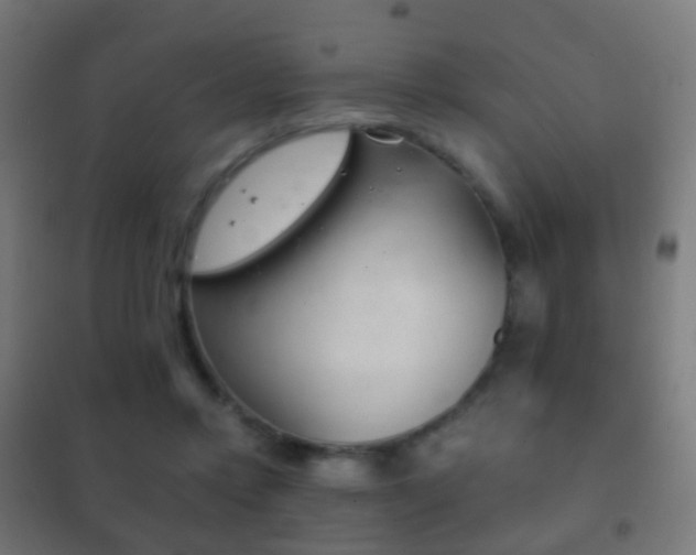 X0000102240358200807250843