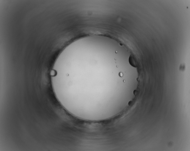 X0000102240359200807250843