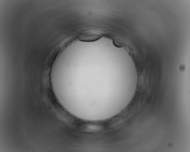 X0000102240360200807250843