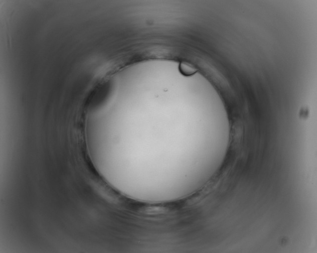 X0000102240361200807250843