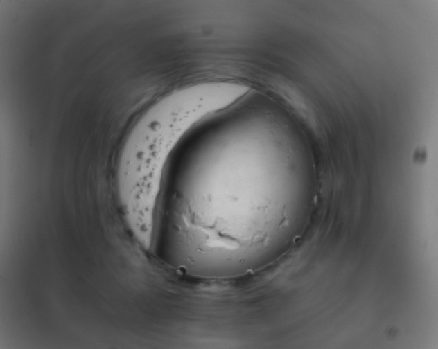 X0000102240362200807250843