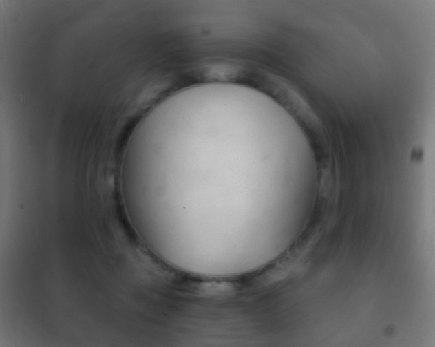 X0000102240363200807250843
