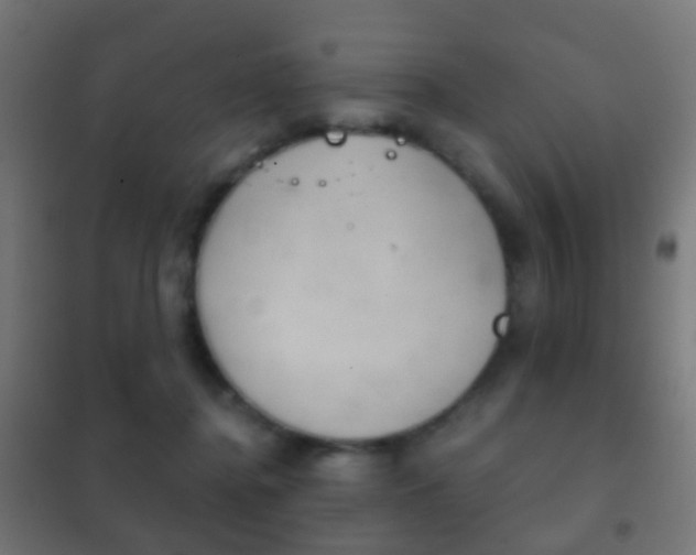 X0000102240364200807250843