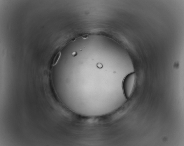 X0000102240366200807250843