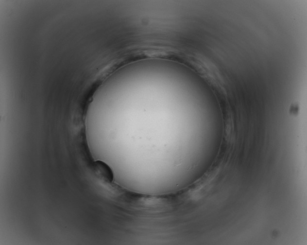 X0000102240367200807250843
