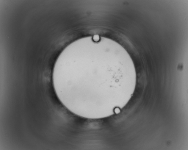 X0000102240368200807250843