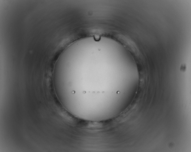 X0000102240369200807250843